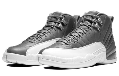 Air Jordan12 Retro 'Stealth'